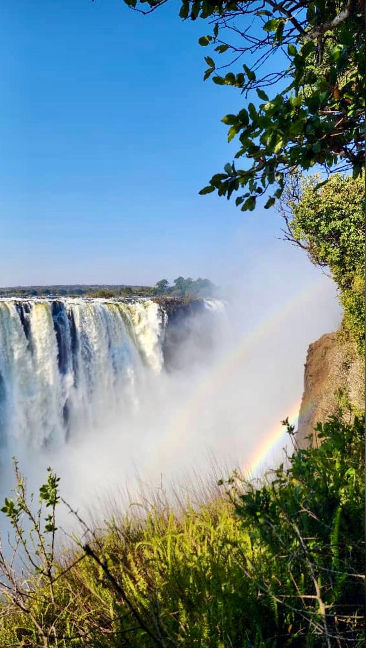Tour of The Falls