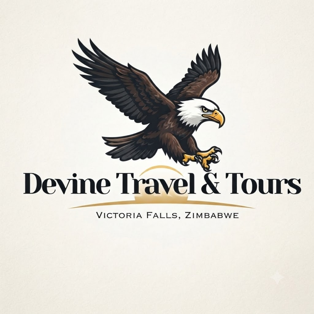 Devine Travel & Tours